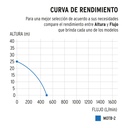 MOTB-2+D1.jpg