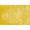 PICE-11+D1.jpg