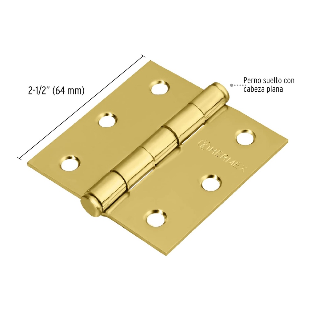 BC-251P+D1.jpg