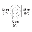 PROCA-N+D1.jpg