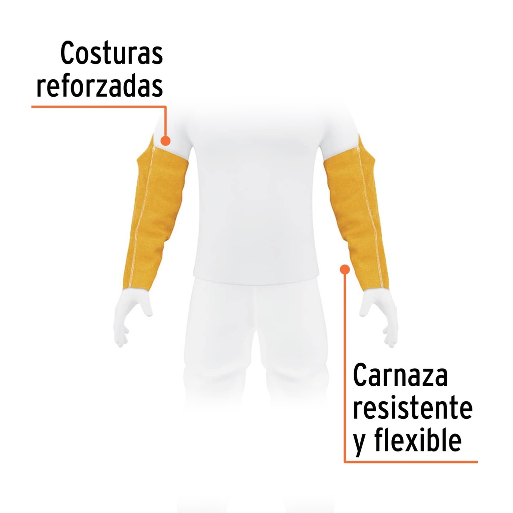 PROSO-2+FC1.jpg