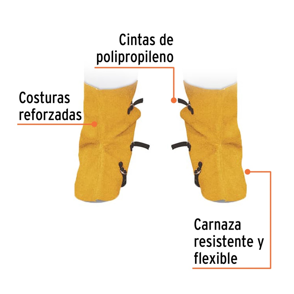 PROSO-3+FC1.jpg