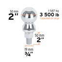 BOLA-35+D1.jpg