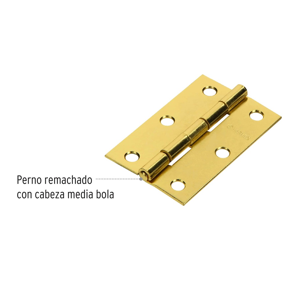 BR-251+D2.jpg