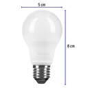 LED-30C+FC2.jpg
