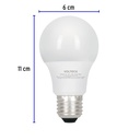 LED-603T+FC1.jpg