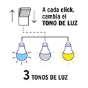 LED-603T+D3.jpg