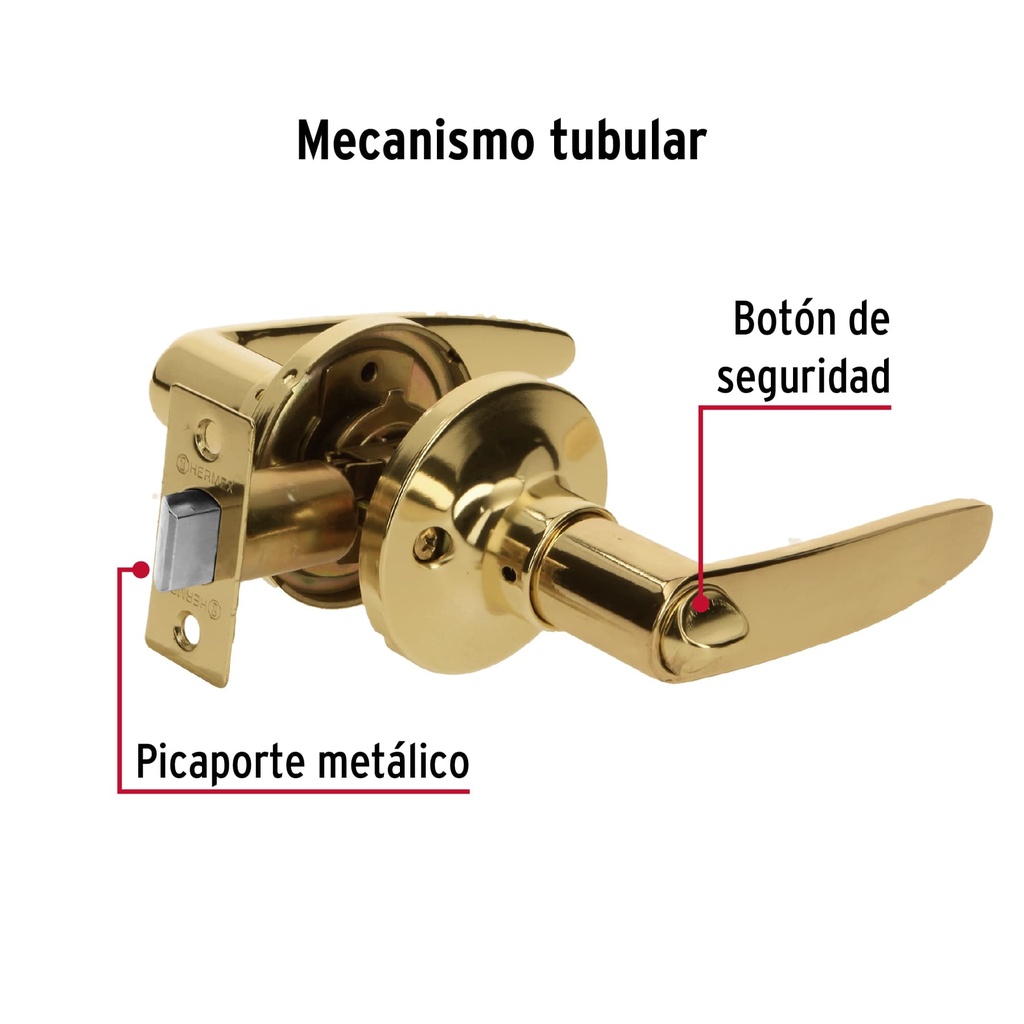 CEMA-1B+D1.jpg