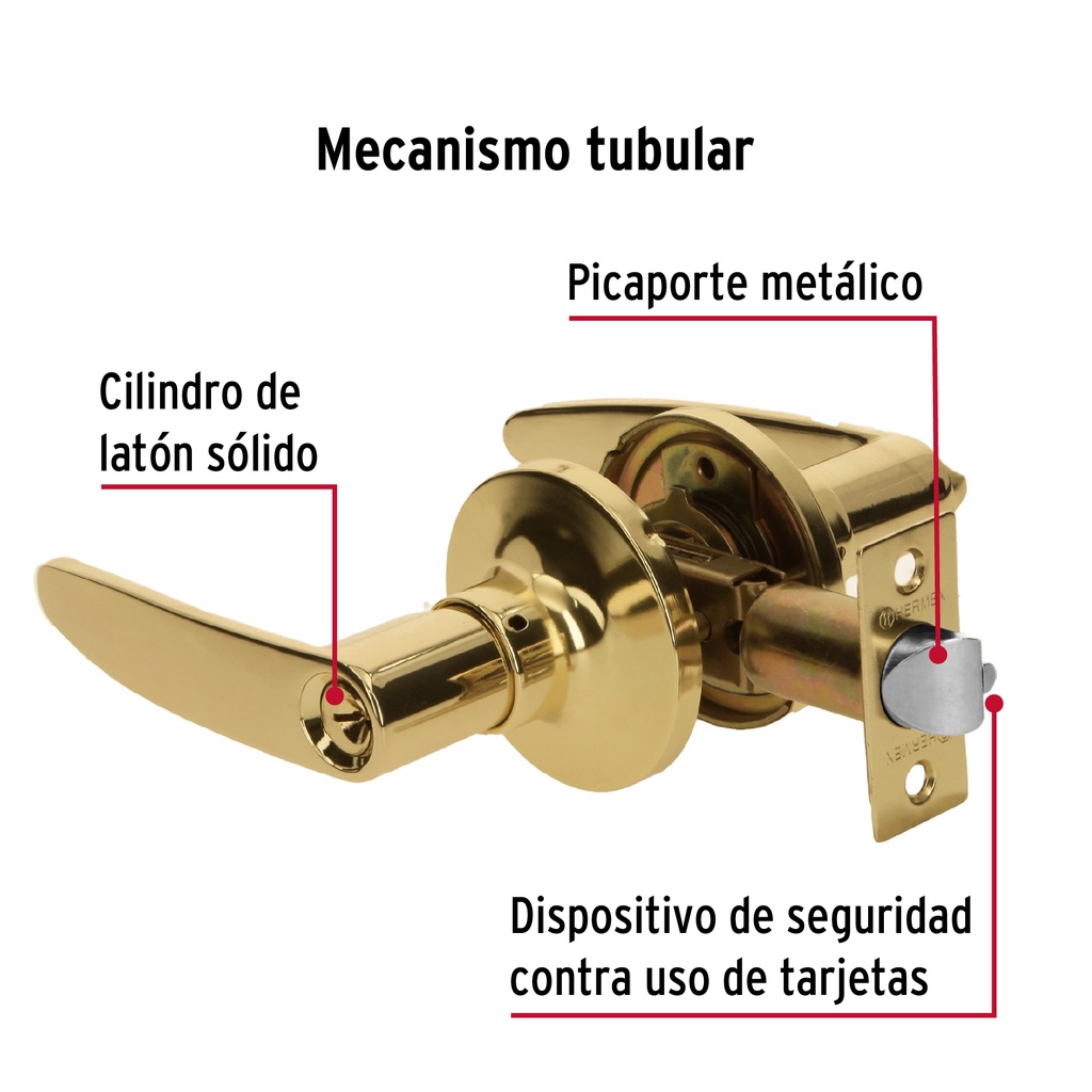 CEMA-1R+D1.jpg