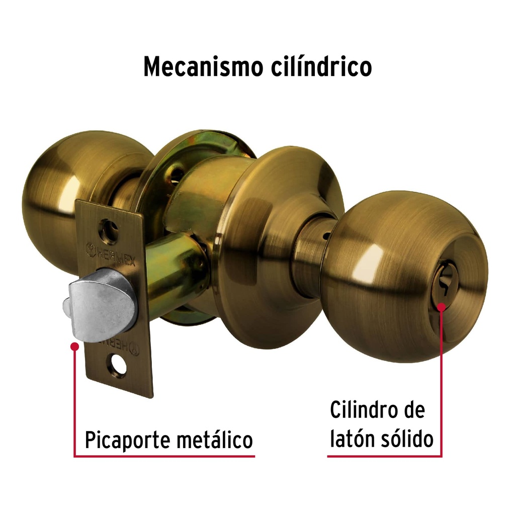CEPO-21R+D2.jpg
