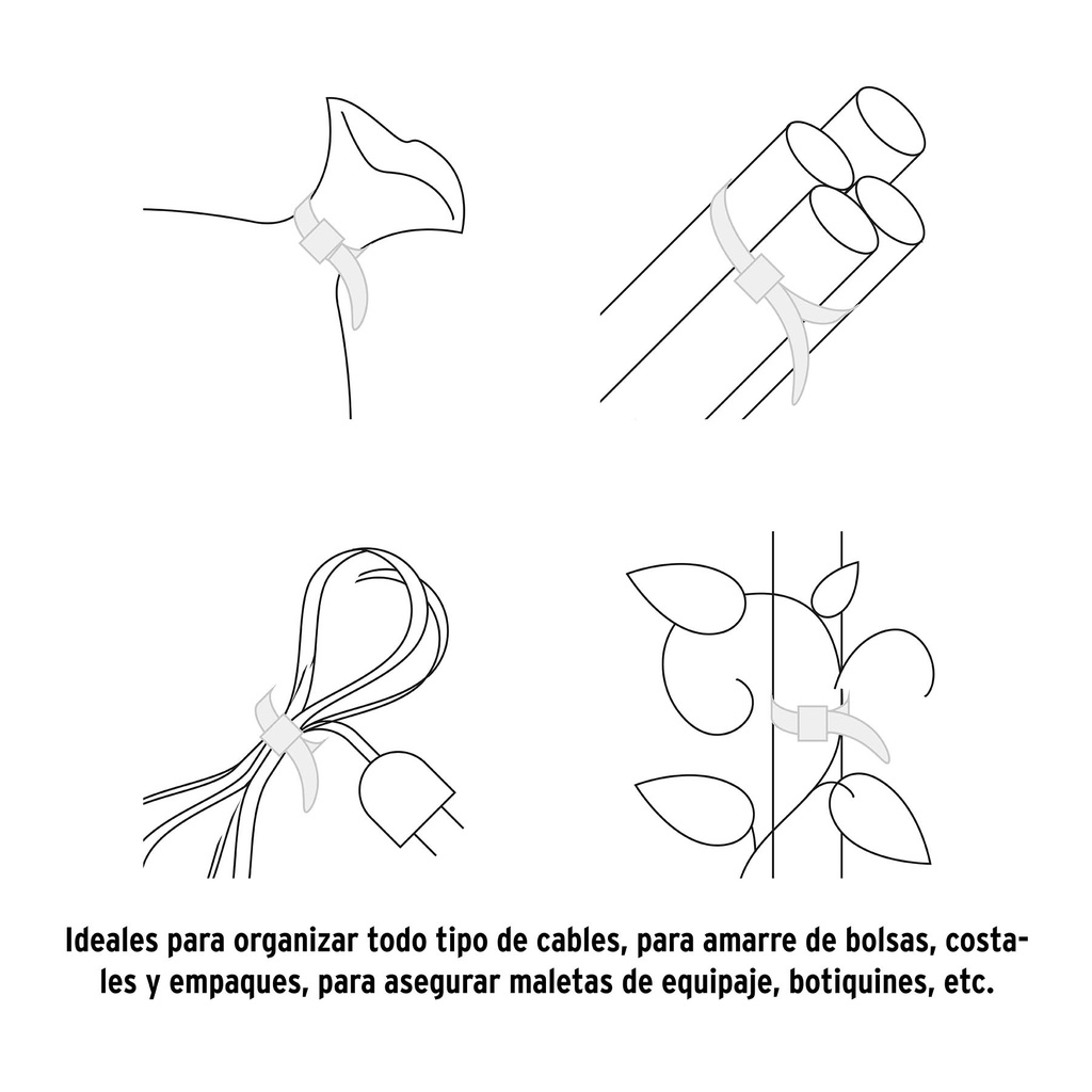 CIN-4015-M+D3.jpg