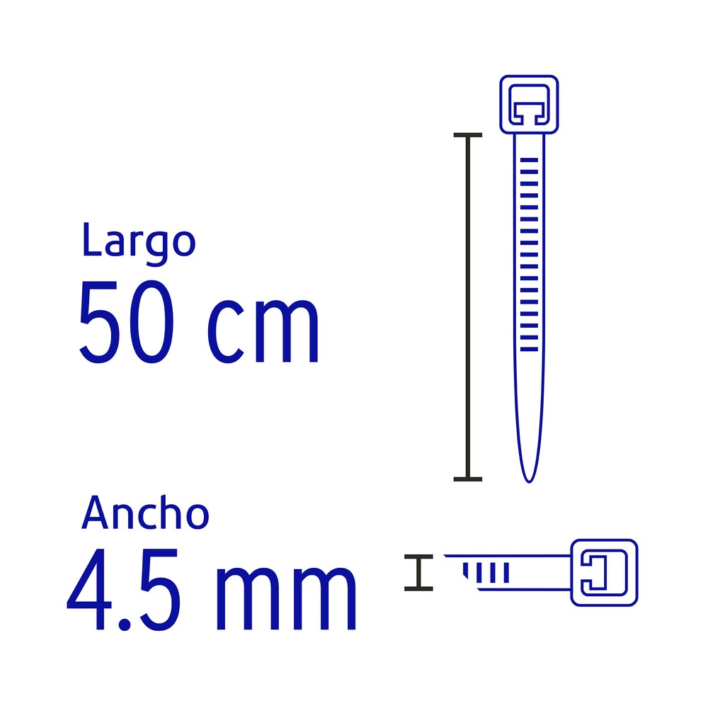 CIN-5050+D2.jpg