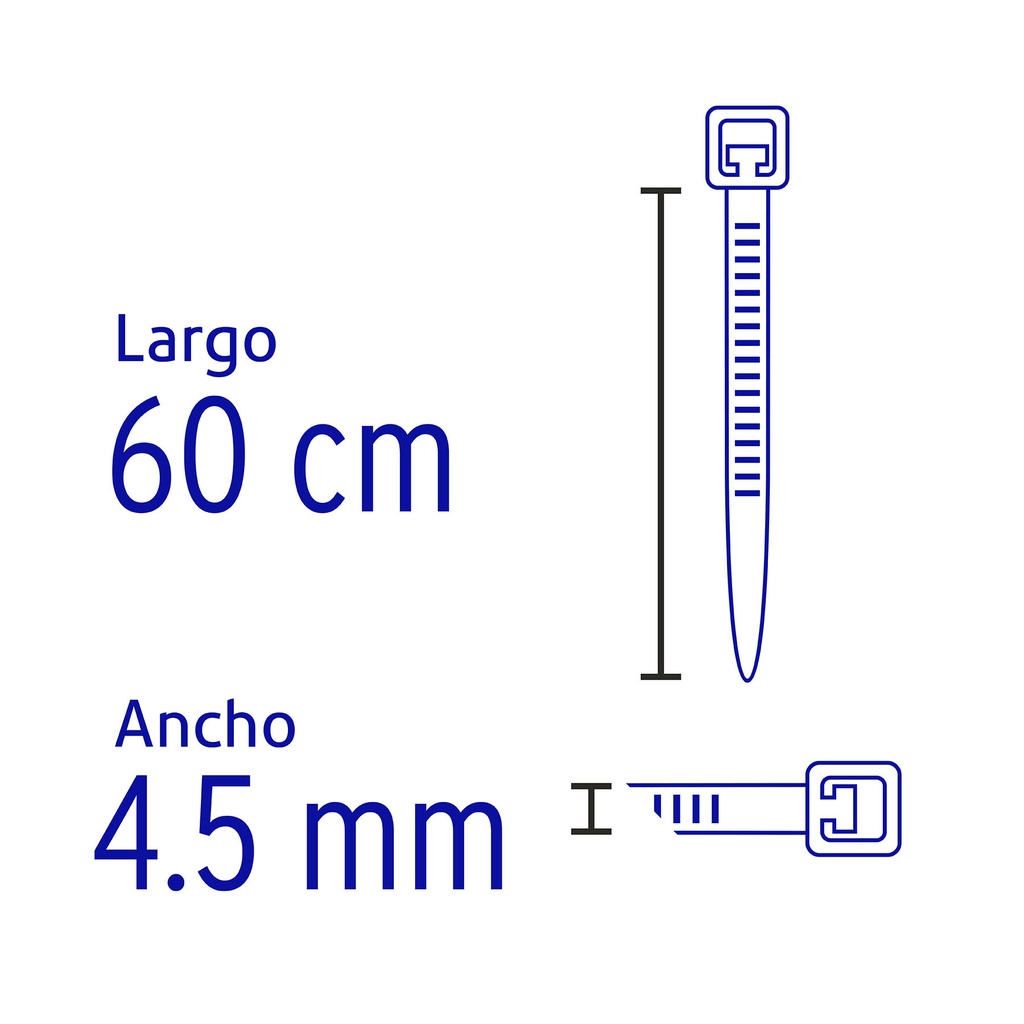 CIN-5060+D2.jpg