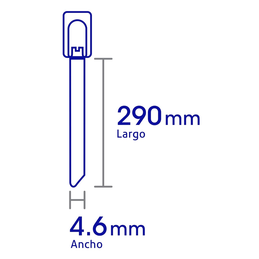 CINM-20029+D1.jpg