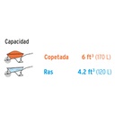 CO-60P+D1.jpg