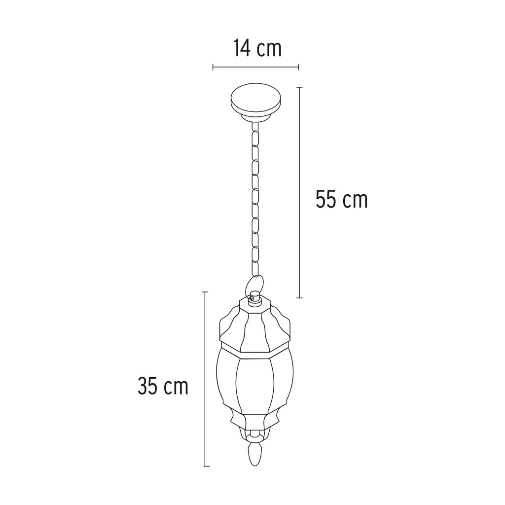 COL-101L+D1.jpg