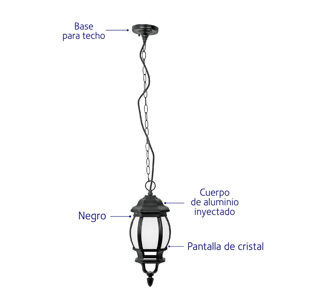 COL-101L+D2.jpg