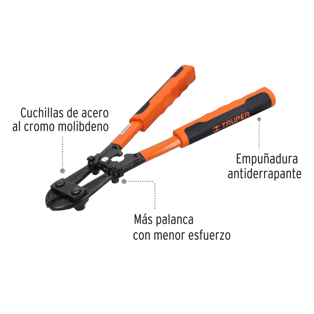 CP-12X+D1.jpg