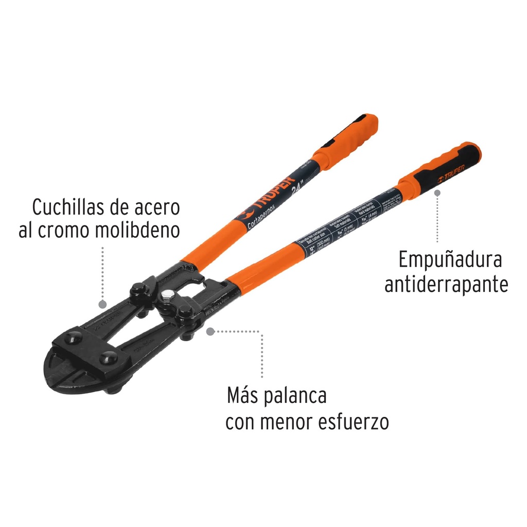 CP-24X+D1.jpg