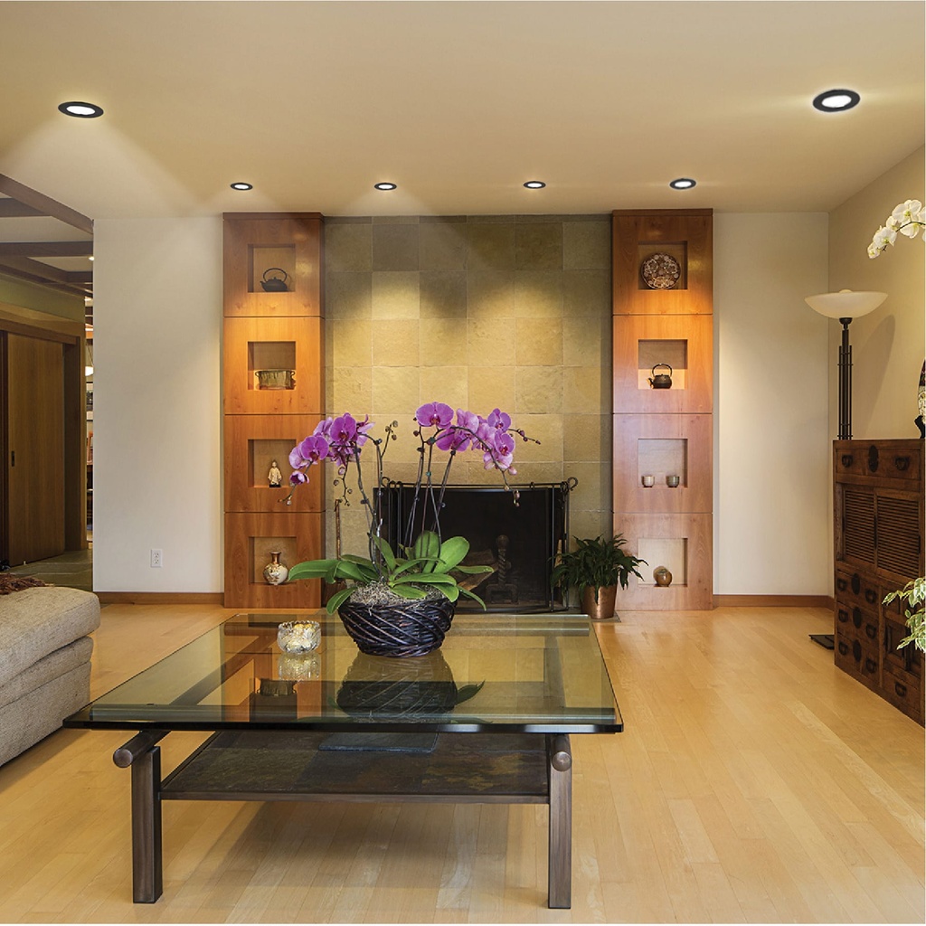 EMP-101S+A1.jpg
