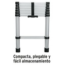 ESTE-213+D1.jpg