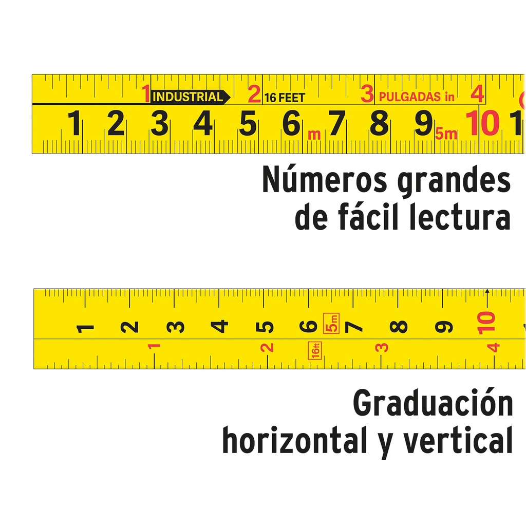 FCG-55M+D1.jpg