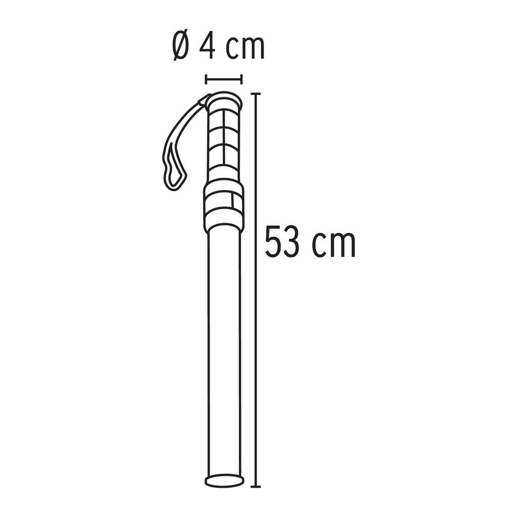 BADE-52+D2.jpg