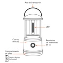 LACA-3D+FC1.jpg