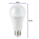 LED-100C+FC2.jpg
