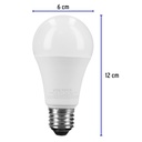 LED-100FX4+FC2.jpg