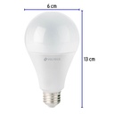 LED-125C+FC2.jpg