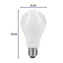 LED-125F+FC2.jpg