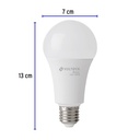 LED-125FB+FC2.jpg