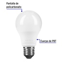 LED-40F+FC1.jpg