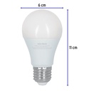 LED-60FA+FC2.jpg