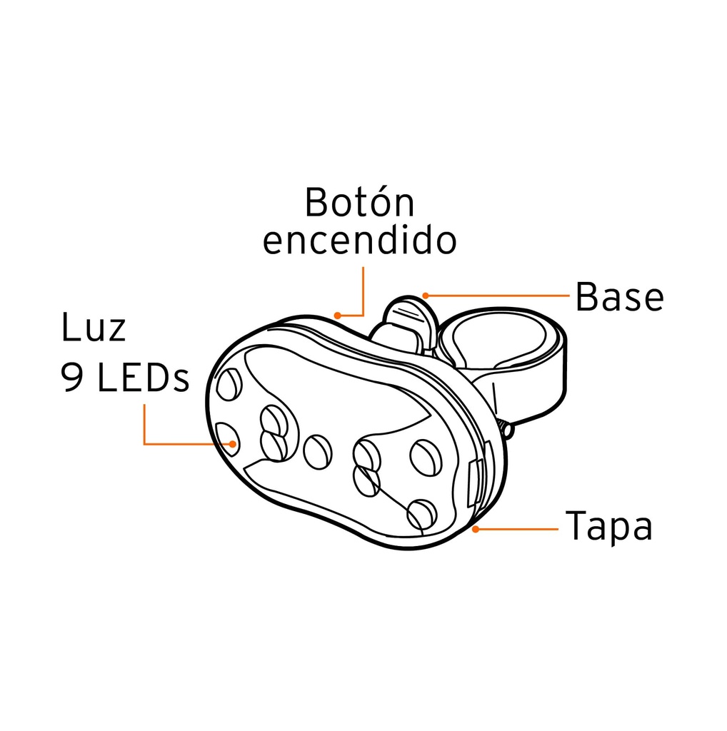 LIBI-9T+D2.jpg