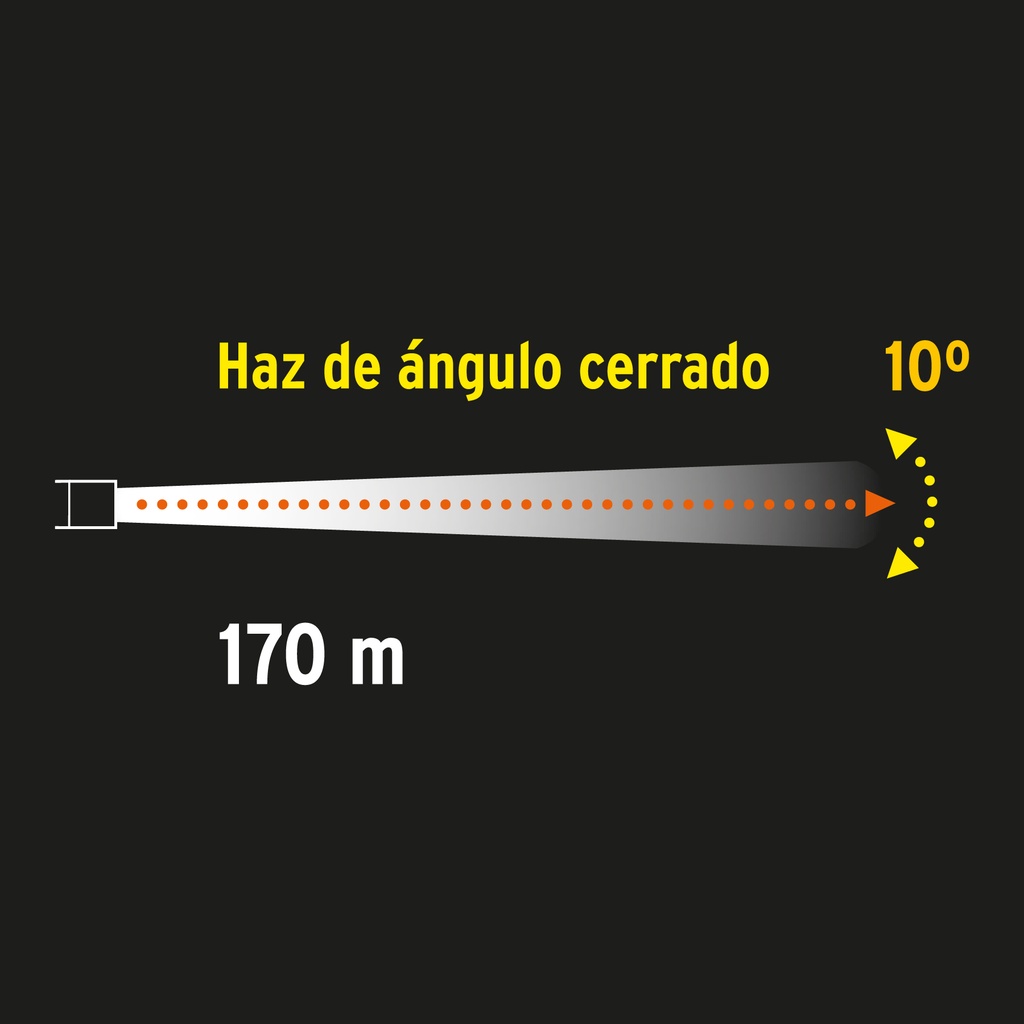 LILE-11T+D1.jpg