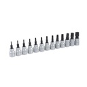 Juego de 13 dados con punta Torx Tamper proof cuadro de 3/8", 5 puntas, Urrea