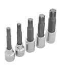 Juego de 5 dados con punta Ribe cuadro de 1/2", en riel, Urrea