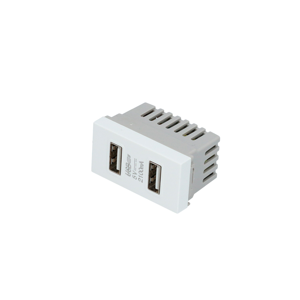 Módulo USB doble 1/3, línea Premium, color blanco, Surtek