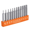 101675 / Juego de 12 puntas torx combinadas c/seguro largo 2', Expert